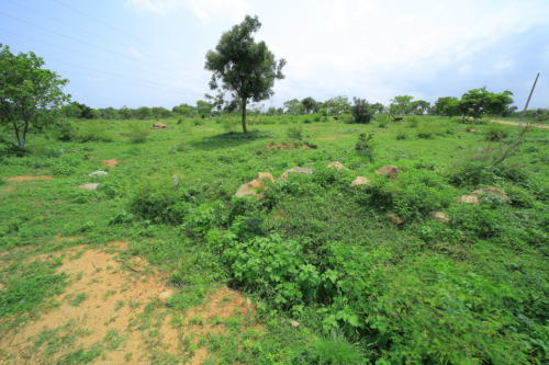 6 east city, sector 5, block J (1)